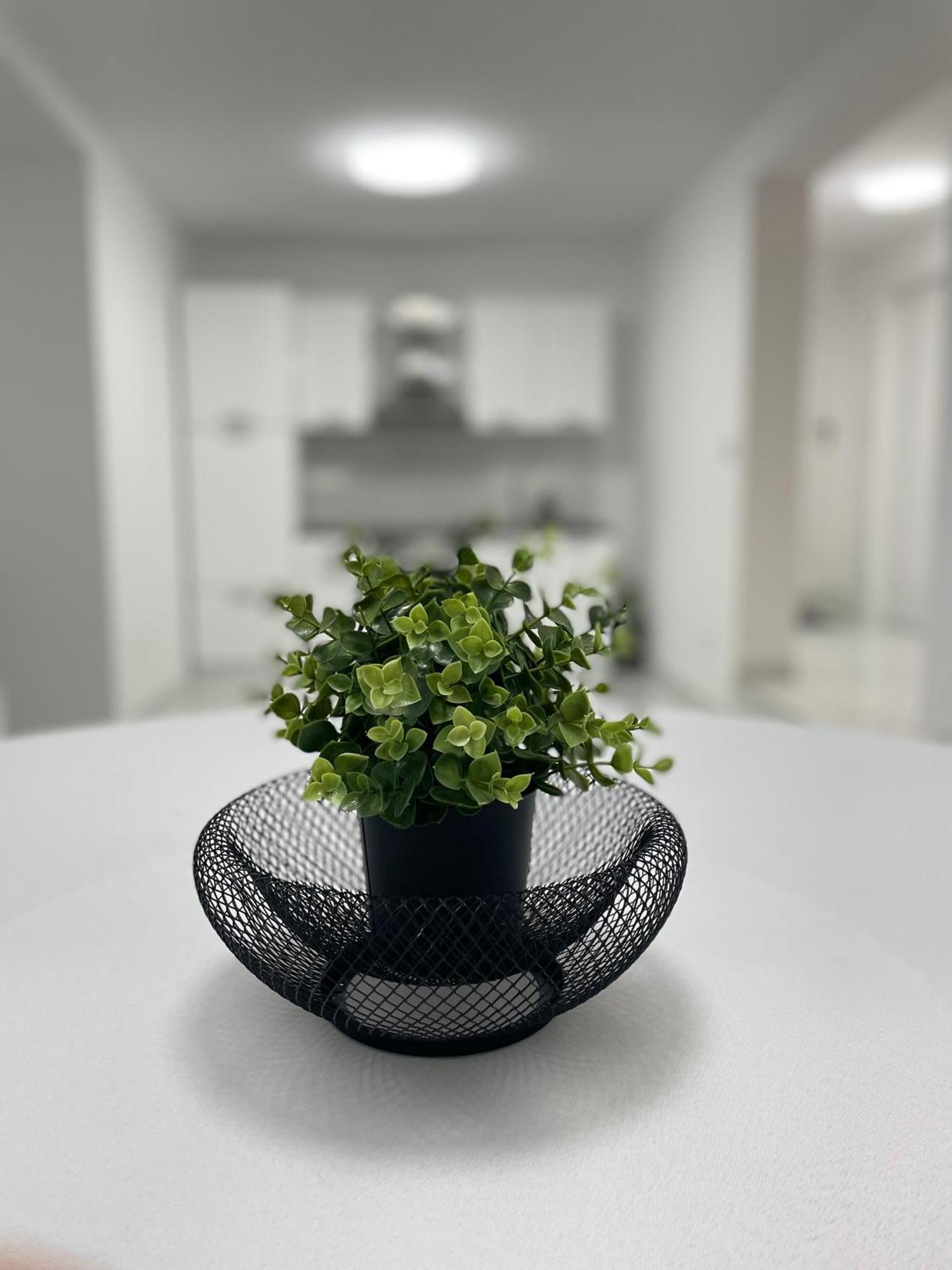 Apartment White Zagreb - Private Parking&Garage Eksteriør billede